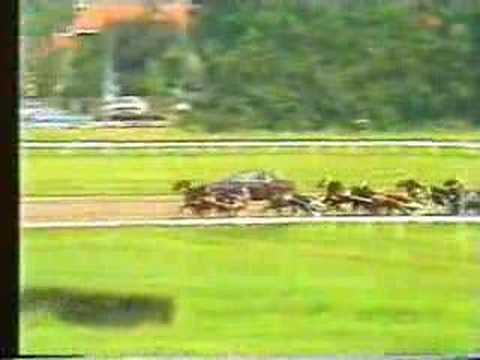 Derby Y - Ymond Boekelte