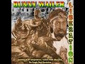 Bunny Wailer  -  Scheme Of Things