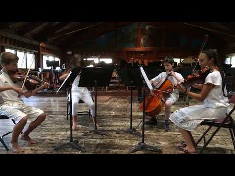 Haydn Quartet in G Major, Op. 54, No. 1