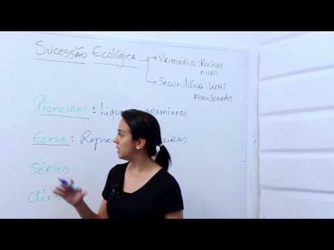 Sucessão ecológica