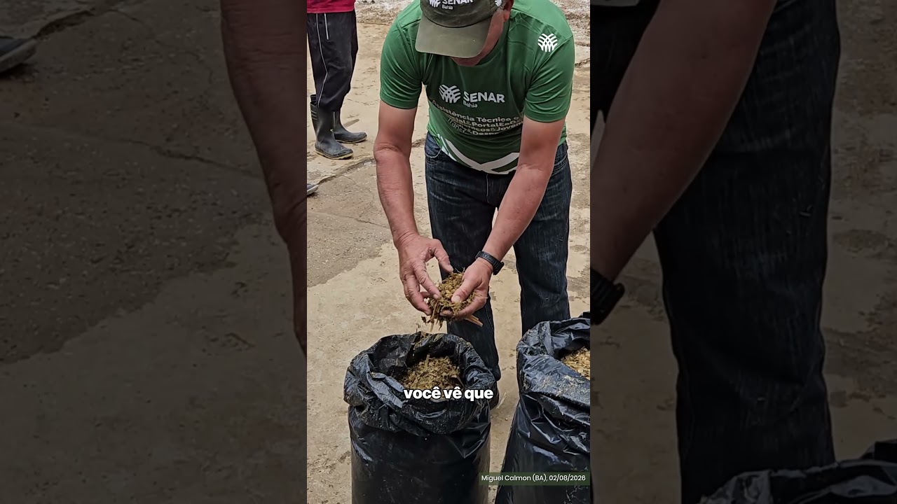 Projeto Forrageiras para o semiárido 🌱