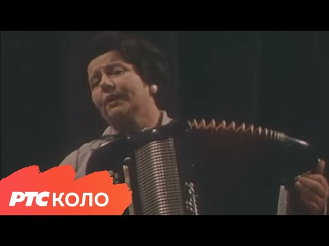 RADOJKA ŽIVKOVIĆ - Harmoniko moja drugo