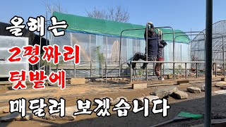 4인가족에 2평 미니텃밭이면 충분?