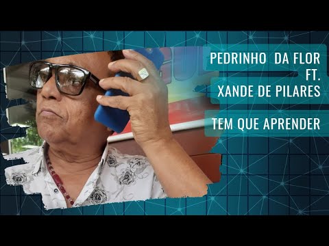 Pedrinho da Flor ft. Xande de Pilares - Tem que aprender (Prod. Windson) Áudio Oficial
