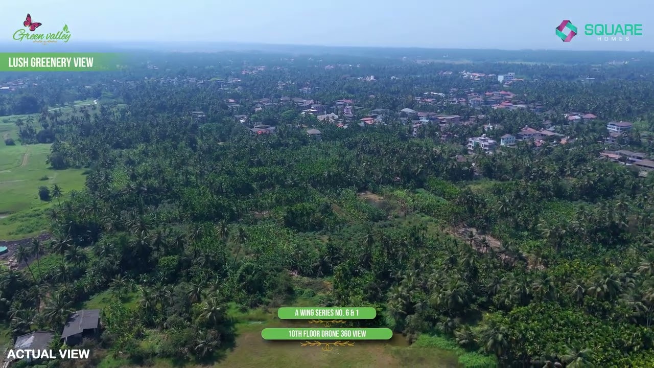 Drone View — Project Overview