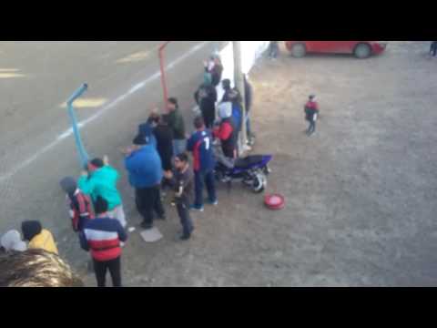 Hinchada de estrella del sur(1)