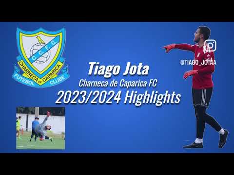 Tiago Jota (GK) Highlights 2023/24
