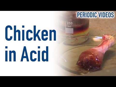 酸の中の鶏の結論～動画の周期表 (Chicken in Acid Conclusion - Periodic Table of Videos)