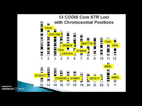 AP Chapter 14   Biotechnology
