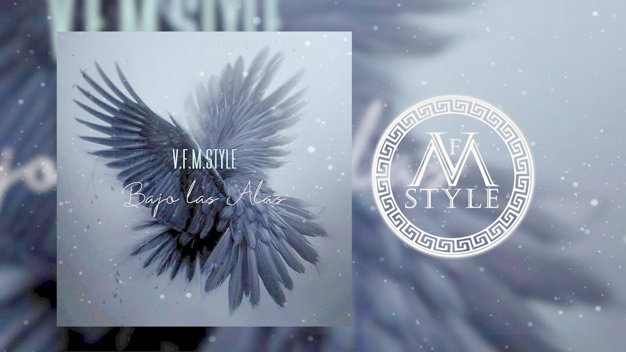 V.F.M.style - Bajo las Alas ( Original Mix)