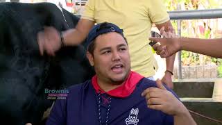 Download lagu BROWNIS - Kocak!! Igun Minum Susu Langsung Dari Sapinya (12/8/18) Part 3 mp3