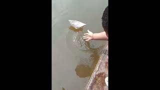 বাবু যখন খালামণির কাছে নৌকো ভাসানোর আবদার করে,,,