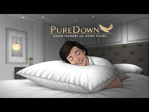 Puredown Goose Feathers and Down Pillows Review 💤 Best Luxury Hotel Pillow on Amazon?