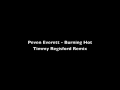 Peven Everett - Burning Hot (Timmy Regisford Remix)