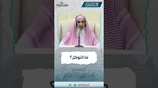 17 ما التوكل ؟ image