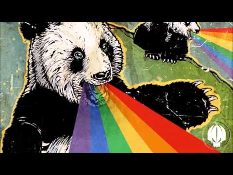 Circular D & DiMAN!X - Rapid