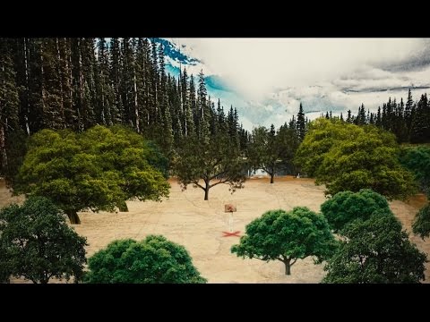 The Chief Rabbi's D'var Torah for Parashat Emor and The Omer