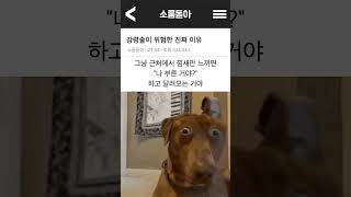 Download lagu 강령술이 위험한 이유 #분신사바 #공포 #공포썰 #괴담 #무서운이야기 #소름 #소름돋는썰  #폐가 mp3