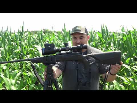 Stażysta 68 - O etycznych polowaniach na dziki