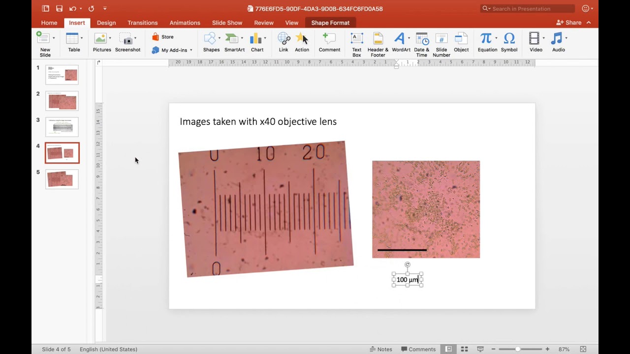 Presentation Quality Microscope Images in Powerpoint