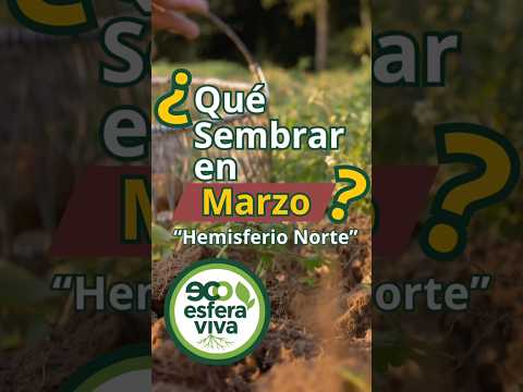 March Planting Guide: Northern Hemisphere Garden Crops