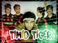 Timid Tiger - Gadget Girls 