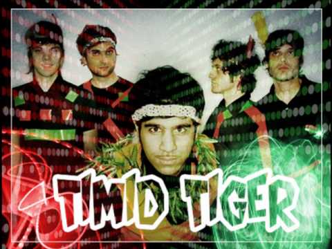 Timid Tiger - Gadget Girls