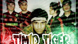 Timid Tiger - Gadget Girls