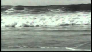 Testimony - Robbie Robertson