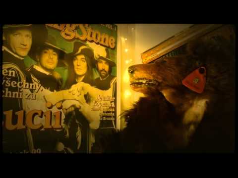 Lucie - Medvídek 2016