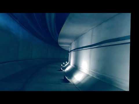 45drakes feat. Ape Regime & Safekapi - Bellis Perennis (#shorts )