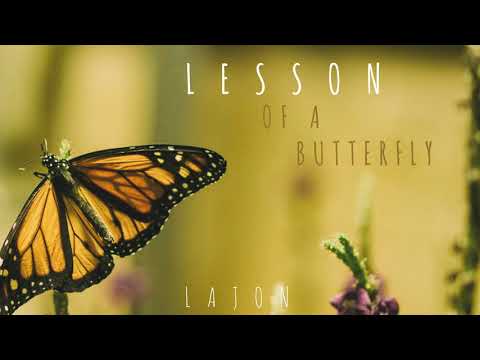 Lesson Of A Butterfly - LaJon