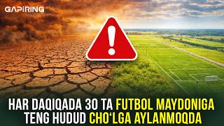 Har daqiqada 30 ta futbol maydoniga teng hudud cho‘lga aylanmoqda| GAPiRING