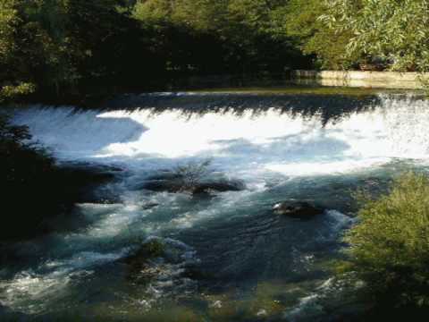 Daj mi stara majko grobničkoga sira   - Sandro Mihalić