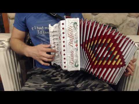 DINOART41WH - White Pearl Dino Baffetti Art. 41 Organetto Diatonic Button Accordion G LMM 13 4 $1999