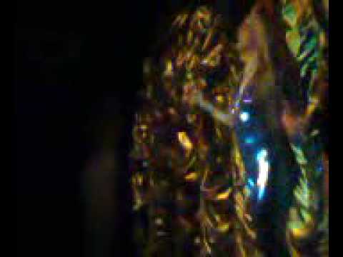 PAPA G - Show Desireé