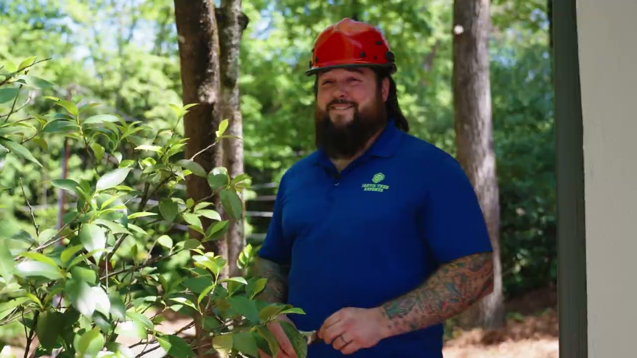 Jarvis Tree Service FULL Commercial 16x9