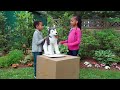 Tiffany Haddish Sesame StreetWhen You Re A Vet Retrotv Throwbacktv Tiffanyhaddish Sesamestreet