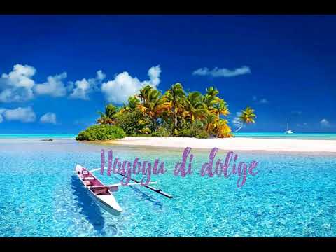 D.square -hoghogu dolige