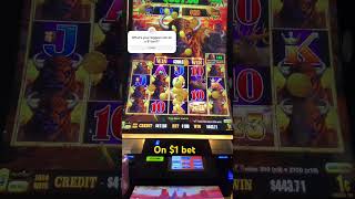 BIG WIN! On $1 BET #buffalo#slots#vegas#winning#casino#viral#fyp#tiktok #gamble