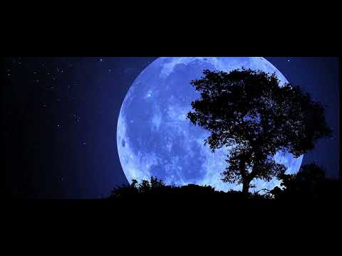 Krajnik X Parzel X Lutek - Dzisiaj zasnąć już nie moge (2020)