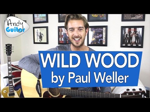 Wild Wood - Paul Weller