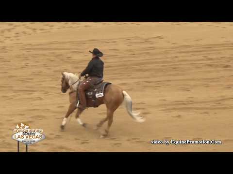 Cashed My CD ridden by Jay McLaughlin  - 2017 NRCHA Stallion Stakes (Rein Work, Open)