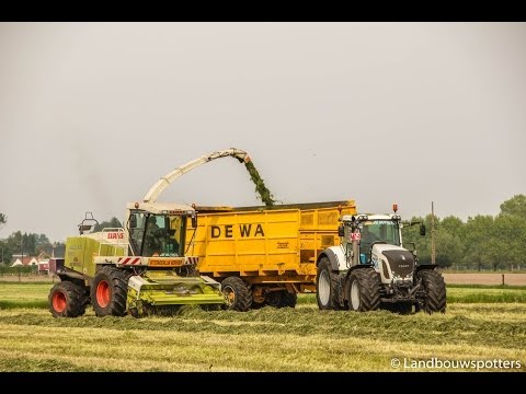 Claas Jaguar 890 gras hakselen 2014 - Peltijn uit Hansbeke