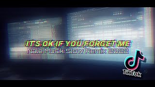 Download lagu DJ IT'S OK IF YOU FORGET ME VIRAL TIKTOK SLOW REMIX 2022 (Nale Musik) mp3