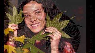 Mia Doi Todd  - Autumn (Dj Nobody Remix [demo version])