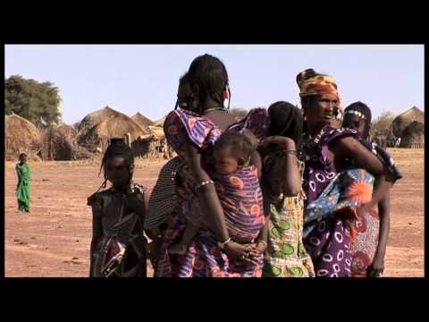 A Vertical Desert - Trailer