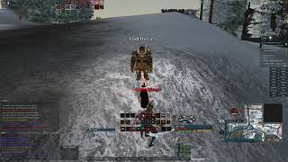 【DAoC】Reaver Solo Ywain #29【Dark Age of Camelot】
