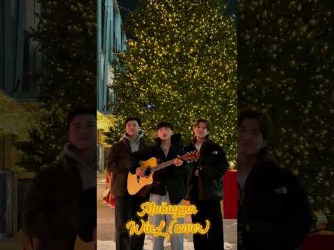 WinL munayma cover #winl #winlife #cover