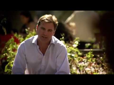 How Milton Friedman and the Chicago Boys saved Chile from Marxist Communists